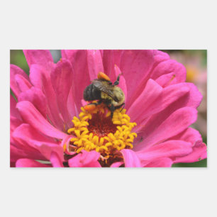 Sticker Rectangulaire Plutôt rose floral rose Zinnia Bumble bee