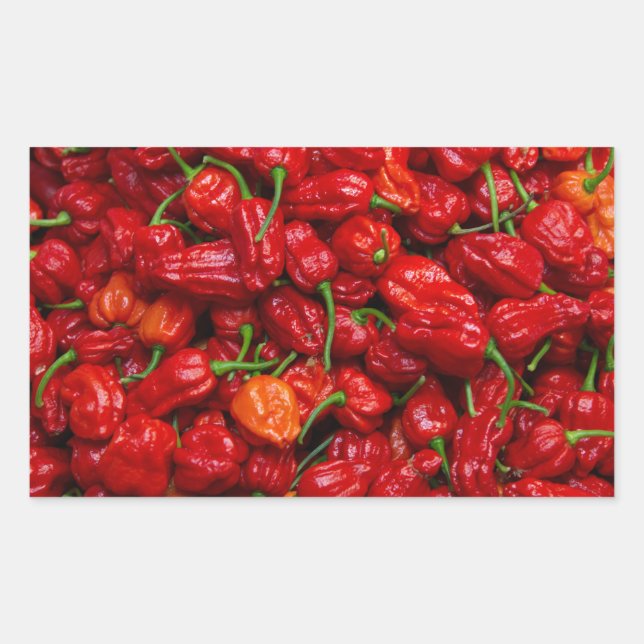Sticker Rectangulaire Poivrons chiliens de Fatalii 2 (Devant)
