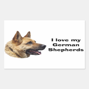 Sticker Rectangulaire Portrait de chien berger allemand alsacien