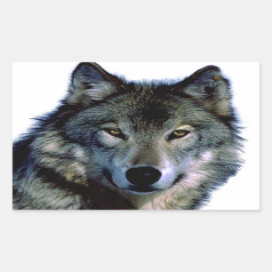 Sticker Rectangulaire Portrait Wolf