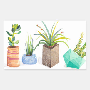 Sticker Rectangulaire Pot de succulents
