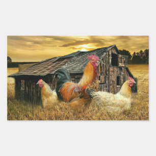 Sticker Rectangulaire Poules à coq vintage Grotte à coop rustique