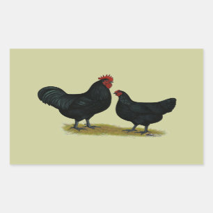 Sticker Rectangulaire Poulets géants Jersey