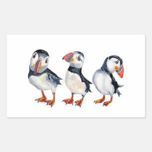 Sticker Rectangulaire Puffins