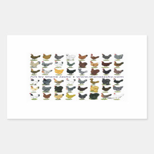 Sticker Rectangulaire Quarante-huit Hen Promo