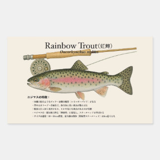 Sticker Rectangulaire Rainbow Trout (Oncorhynchus mykiss) – Fish Illust