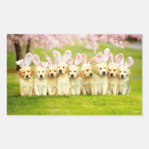 Sticker Rectangulaire Rangée de lapins chiots