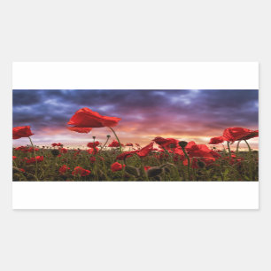 Sticker Rectangulaire Rappel   Champ de pavots