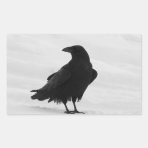 Sticker Rectangulaire Raven fier