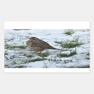 Sticker Rectangulaire Redécoupage