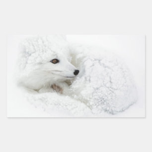 Sticker Rectangulaire Renard arctique recouvert en hiver
