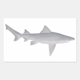 Sticker Rectangulaire Requin à bec