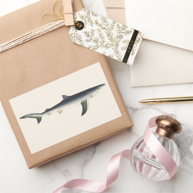 Sticker Rectangulaire Requin bleu vintage, Vie marine aquatique (Cadeaux)