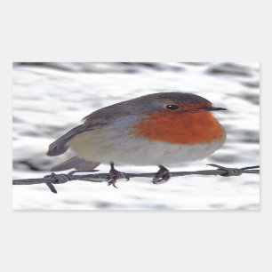 Sticker Rectangulaire Robin Redmamin