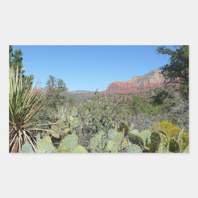 Sticker Rectangulaire Rochers rouges et cactus I (Devant)