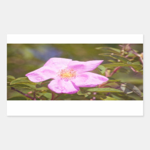 Sticker Rectangulaire Rose
