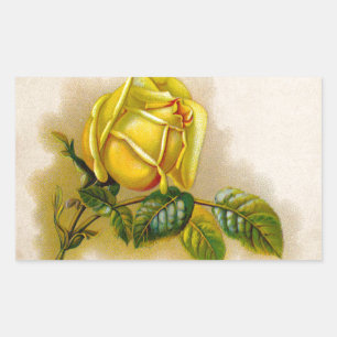 Sticker Rectangulaire Rose jaune Antique Vintage Imprimer Art