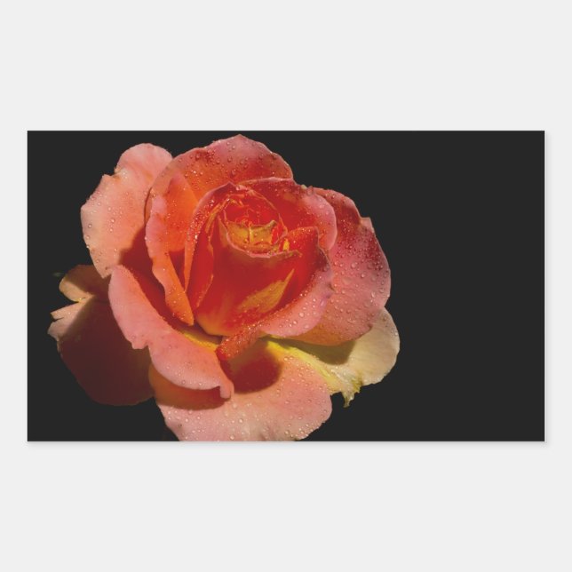 Sticker Rectangulaire Rose orange (Devant)