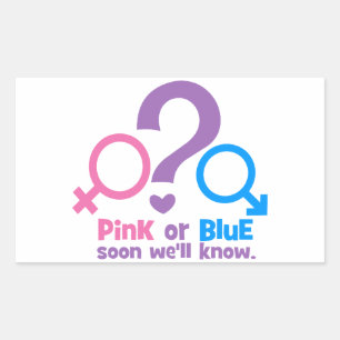 Sticker Rectangulaire Rose ou Bleu, bientôt nous saurons