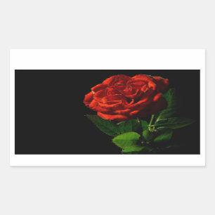 Sticker Rectangulaire Rose rouge sur Floral noir