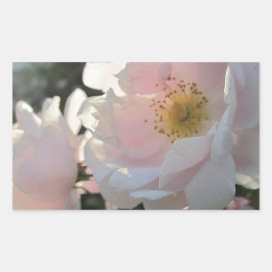 Sticker Rectangulaire Roses à l'ancienne