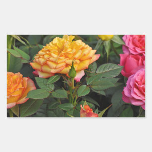 Sticker Rectangulaire Roses miniatures colorées