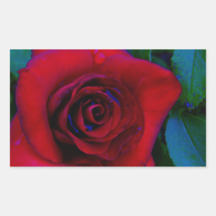 Sticker Rectangulaire Roses rouges aux tons bleus