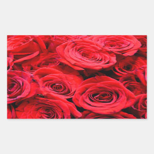 Sticker Rectangulaire Roses rouges fleurs rouges