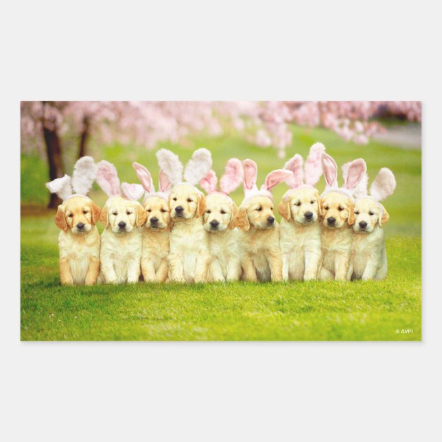 Sticker Rectangulaire Row of Puppy Bunnies (Devant)