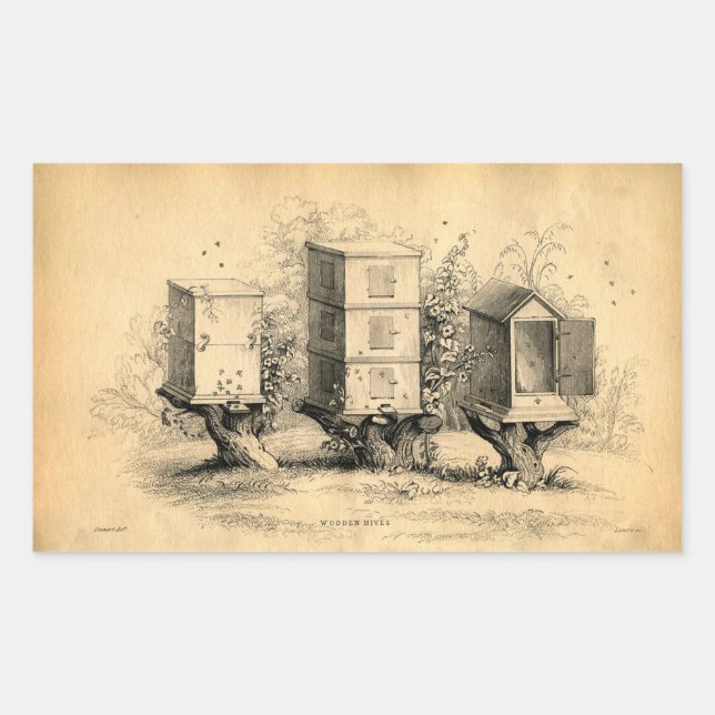 Sticker Rectangulaire ruche apicole vintage (Devant)