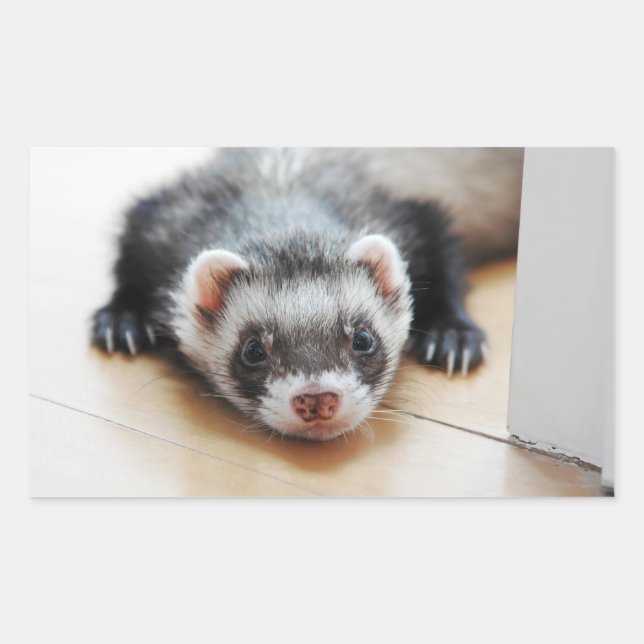 Sticker Rectangulaire Sable Ferret (Devant)