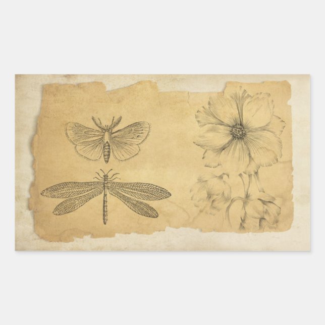 Sticker Rectangulaire Sacoche de collection de parchemin vintage (Devant)