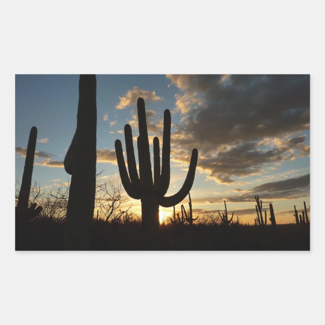 Sticker Rectangulaire Saguaro Sunset II Arizona (Devant)