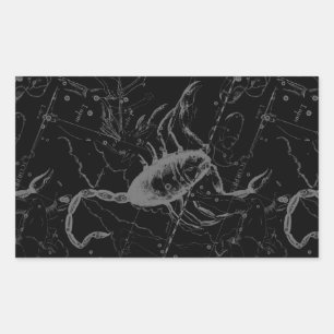 Sticker Rectangulaire Scorpio Constellation Hevelius 1690 Vintage Noir
