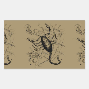 Sticker Rectangulaire Scorpio Constellation Hevelius vers 1690 Vintage
