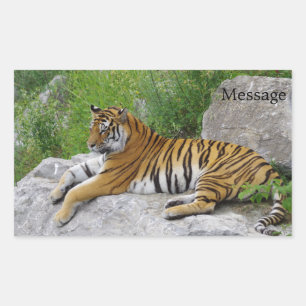 Sticker Rectangulaire Siberian Tiger Relaxing on a Rock