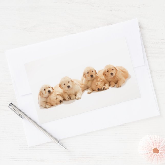 Sticker Rectangulaire Six Marionnettes Golden Retriever (Enveloppe)