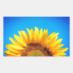 Sticker Rectangulaire Soutenez Ukraine bleu ciel jaune tournesol