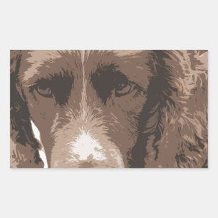 Sticker Rectangulaire Springer anglais