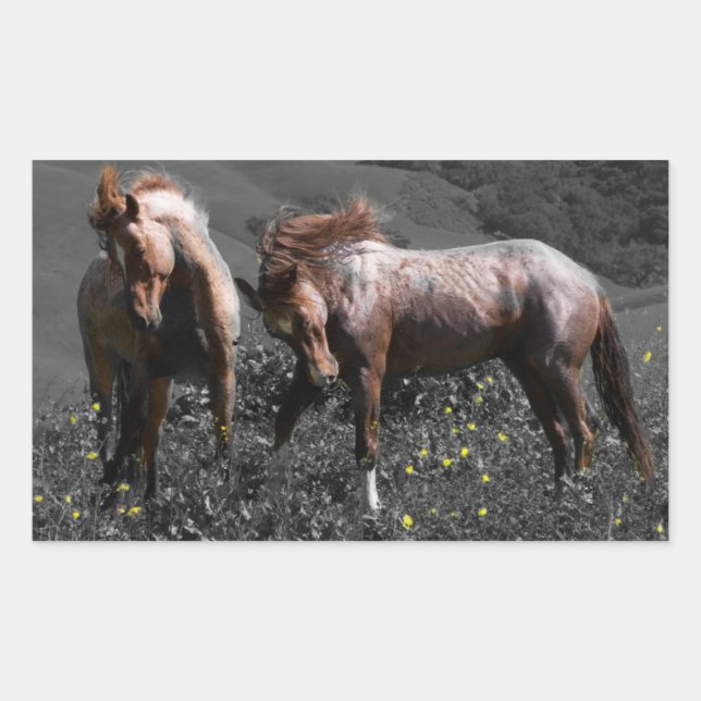 Sticker Rectangulaire Stallion Spar (Devant)