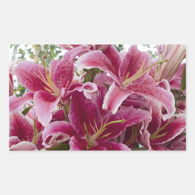 Sticker Rectangulaire Stargazer Lilies (Devant)