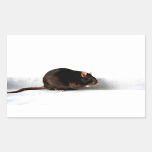 Sticker Rectangulaire Stcnm de bord
