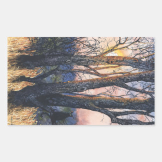 Sticker Rectangulaire Sundown