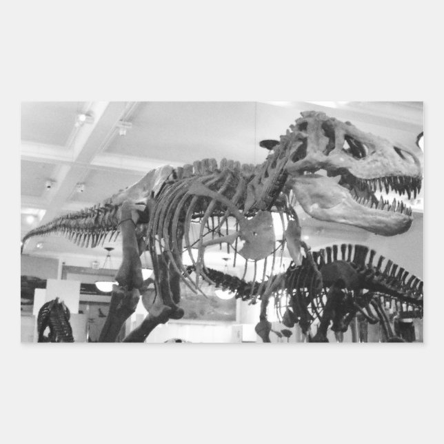 Sticker Rectangulaire T-Rex Crayon squelette (Devant)
