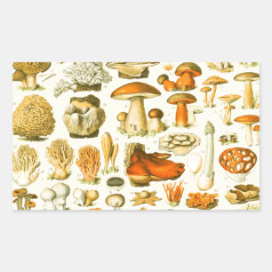 Sticker Rectangulaire Tabouret de toilette Vintage de champignons Illust