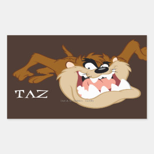 Sticker Rectangulaire TAZ™ Evil Grin