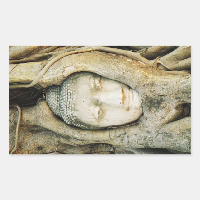 Sticker Rectangulaire Tête de Bouddha dans le Fig Tree .. Ayutthaya, Tha (Devant)