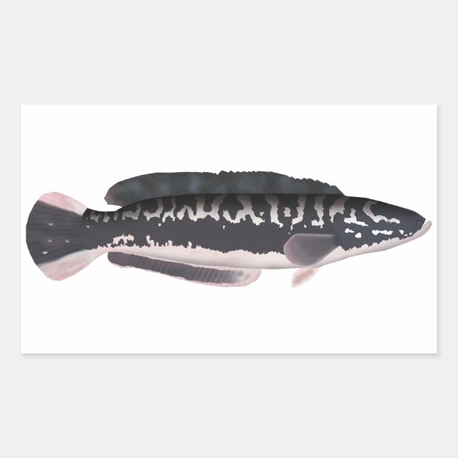 Sticker Rectangulaire Tête de serpent géante (Devant)