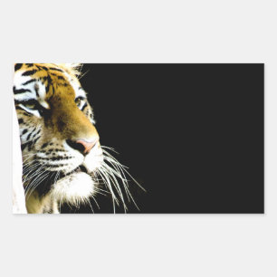 Sticker Rectangulaire Tigre