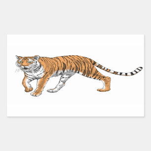 Sticker Rectangulaire Tigre 2